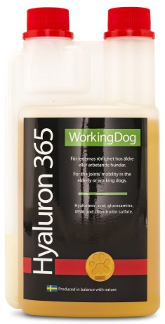 Working Dog HYALURON 365